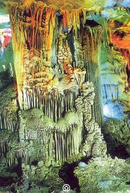 ai quê hương tỉnh quảng bình vào đây họp mặt nha!!!