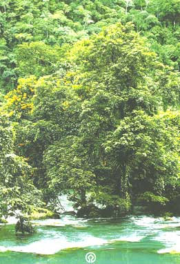 ai quê hương tỉnh quảng bình vào đây họp mặt nha!!! - 1